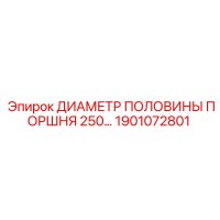 1901072801 ДИАМЕТР ПОЛОВИНЫ ПОРШНЯ 250 Epiroc