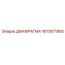 1613571900 ДИАФРАГМА Epiroc