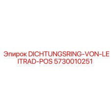 5730010251 DICHTUNGSRING-VON-LEITRAD-POS - Epiroc