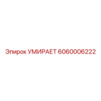 6060006222 УМИРАЕТ Epiroc