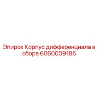 6060009185 Корпус дифференциала в сборе Epiroc