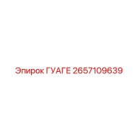 2657109639 ГУАГЕ Epiroc