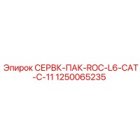 1250065235 СЕРВК-ПАК-ROC-L6-CAT-C-11 Epiroc