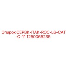 1250065235 СЕРВК-ПАК-ROC-L6-CAT-C-11 Epiroc