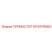 Электронный терморегулятор Epiroc артикул 1619376900