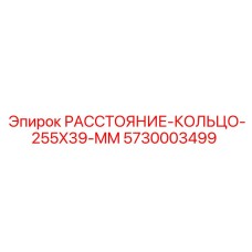 5730003499 РАССТОЯНИЕ-КОЛЬЦО-255X39-MM Epiroc