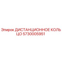 5730005951 ДИСТАНЦИОННОЕ КОЛЬЦО Epiroc