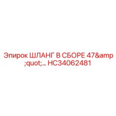 HC34062481 ШЛАНГ В СБОРЕ 47