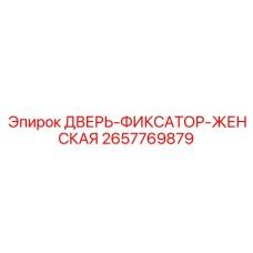 2657769879 ДВЕРЬ-ФИКСАТОР-ЖЕНСКАЯ Epiroc