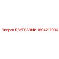 1604217900 ДВУГЛАЗЫЙ Epiroc