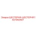 1621052507 ШЕСТЕРНЯ-ШЕСТЕРНЯ Epiroc