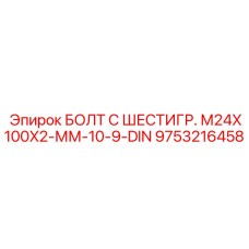 9753216458 БОЛТ С ШЕСТИГР. М24X100X2-ММ-10-9-DIN Epiroc