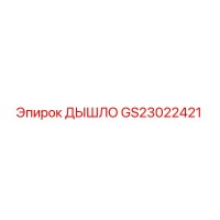 GS23022421 ДЫШЛО Epiroc