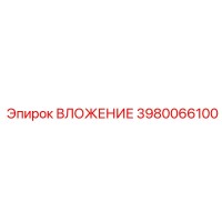 3980066100 ВЛОЖЕНИЕ by Epiroc