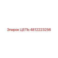 4812223256 ЦЕПЬ Epiroc