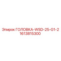 1613815300 ГОЛОВКА-WSD-25-G1-2 (Epiroc)