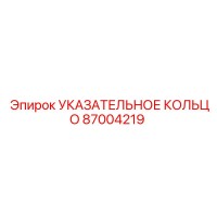 87004219 УКАЗАТЕЛЬНОЕ КОЛЬЦО Epiroc