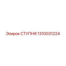 1310031224 СТУПНЯ (Epiroc)