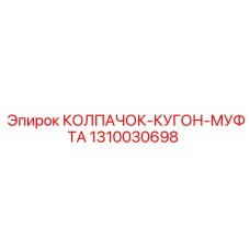 1310030698 КОЛПАЧОК-КУГОН-МУФТА Epiroc