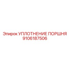 9106187506 УПЛОТНЕНИЕ ПОРШНЯ Epiroc