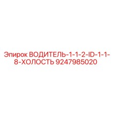 9247985020 ВОДИТЕЛЬ-1-1-2-ID-1-1-8-ХОЛОСТЬ Epiroc