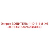 9247984930 ВОДИТЕЛЬ-1-ID-1-1-8-X6-ХОЛОСТЬ Epiroc