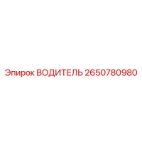2650780980 ВОДИТЕЛЬ Epiroc
