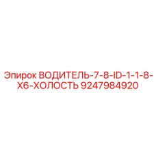 9247984920 ВОДИТЕЛЬ 7/8 ID 1 1/8 X6 ХОЛОСТЬ (Epiroc)