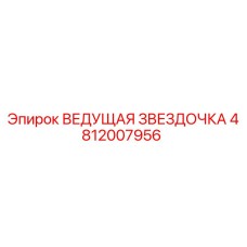 4812007956 ВЕДУЩАЯ ЗВЕЗДОЧКА Epiroc