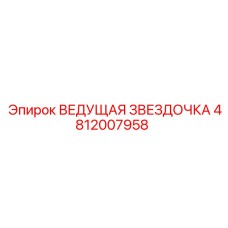 4812007958 ВЕДУЩАЯ ЗВЕЗДОЧКА Epiroc