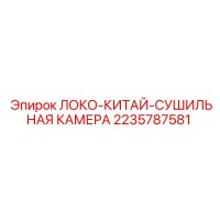 2235787581 ЛОКО-КИТАЙ-СУШИЛЬНАЯ КАМЕРА Epiroc
