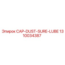 1310034387 CAP-DUST-SURE-LUBE Epiroc