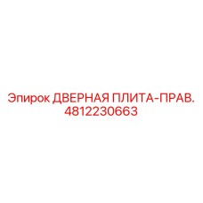 4812230663 ДВЕРНАЯ ПЛИТА-ПРАВ. Epiroc
