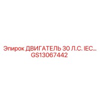 GS13067442 ДВИГАТЕЛЬ 30 Л.С. IEC Epiroc