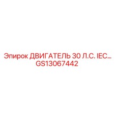 GS13067442 ДВИГАТЕЛЬ 30 Л.С. IEC Epiroc