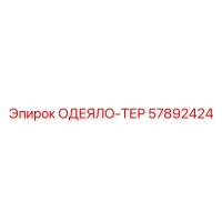 57892424 ОДЕЯЛО-ТЕР Epiroc