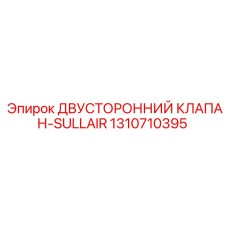 1310710395 ДВУСТОРОННИЙ КЛАПАН-SULLAIR Epiroc