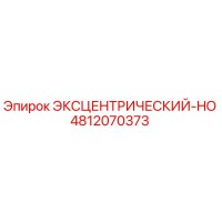 4812070373 ЭКСЦЕНТРИЧЕСКИЙ-HO Epiroc