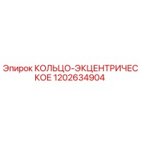 1202634904 КОЛЬЦО-ЭКЦЕНТРИЧЕСКОЕ Epiroc