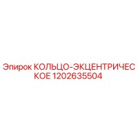1202635504 КОЛЬЦО-ЭКЦЕНТРИЧЕСКОЕ Epiroc