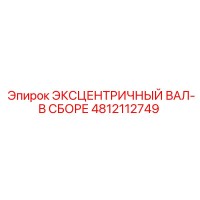 4812112749 ЭКСЦЕНТРИЧНЫЙ ВАЛ-В СБОРЕ Epiroc