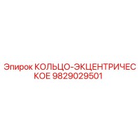 9829029501 КОЛЬЦО-ЭКЦЕНТРИЧЕСКОЕ Epiroc