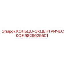9829029501 КОЛЬЦО-ЭКЦЕНТРИЧЕСКОЕ Epiroc