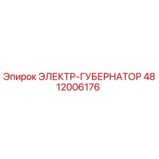 4812006176 ЭЛЕКТР-ГУБЕРНАТОР Epiroc