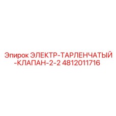 4812011716 ЭЛЕКТР-ТАРЛЕНЧАТЫЙ-КЛАПАН-2-2 Epiroc