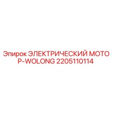 2205110114 ЭЛЕКТРИЧЕСКИЙ МОТОР-WOLONG Epiroc