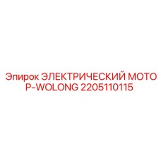 2205110115 ЭЛЕКТРИЧЕСКИЙ МОТОР-WOLONG Epiroc
