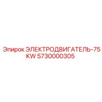 5730000305 ЭЛЕКТРОДВИГАТЕЛЬ-75KW (Epiroc)
