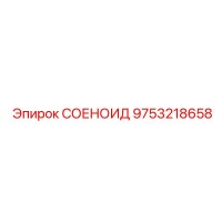 9753218658 СОЛЕНОИД Epiroc
