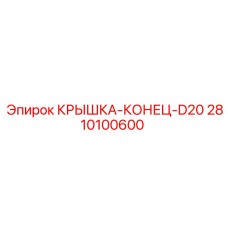 2810100600 КРЫШКА-КОНЕЦ-D20 Epiroc